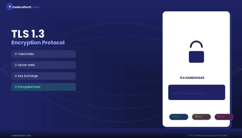 E-commerce Security Protocols: The Complete Technical Guide to Protecting Online Transactions 1 Transport Layer Security (TLS) in E-commerce