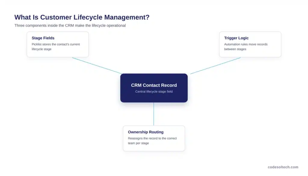 What Is Customer Lifecycle Management in a CRM?